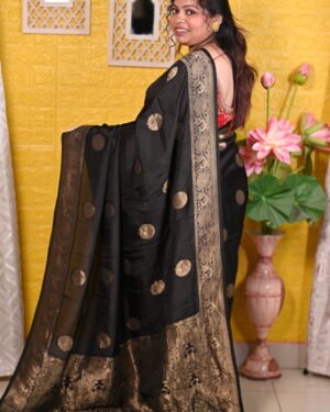 Dola Benarasi Saree