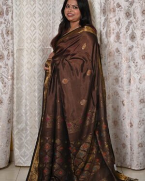 Handloom Katan Kanjivaram Saree