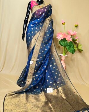 Tussar Orgenza Saree