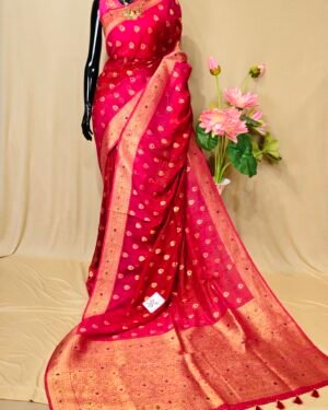 Tussar Orgenza Saree